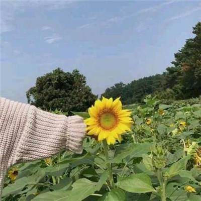 战天诀手游九游版下载